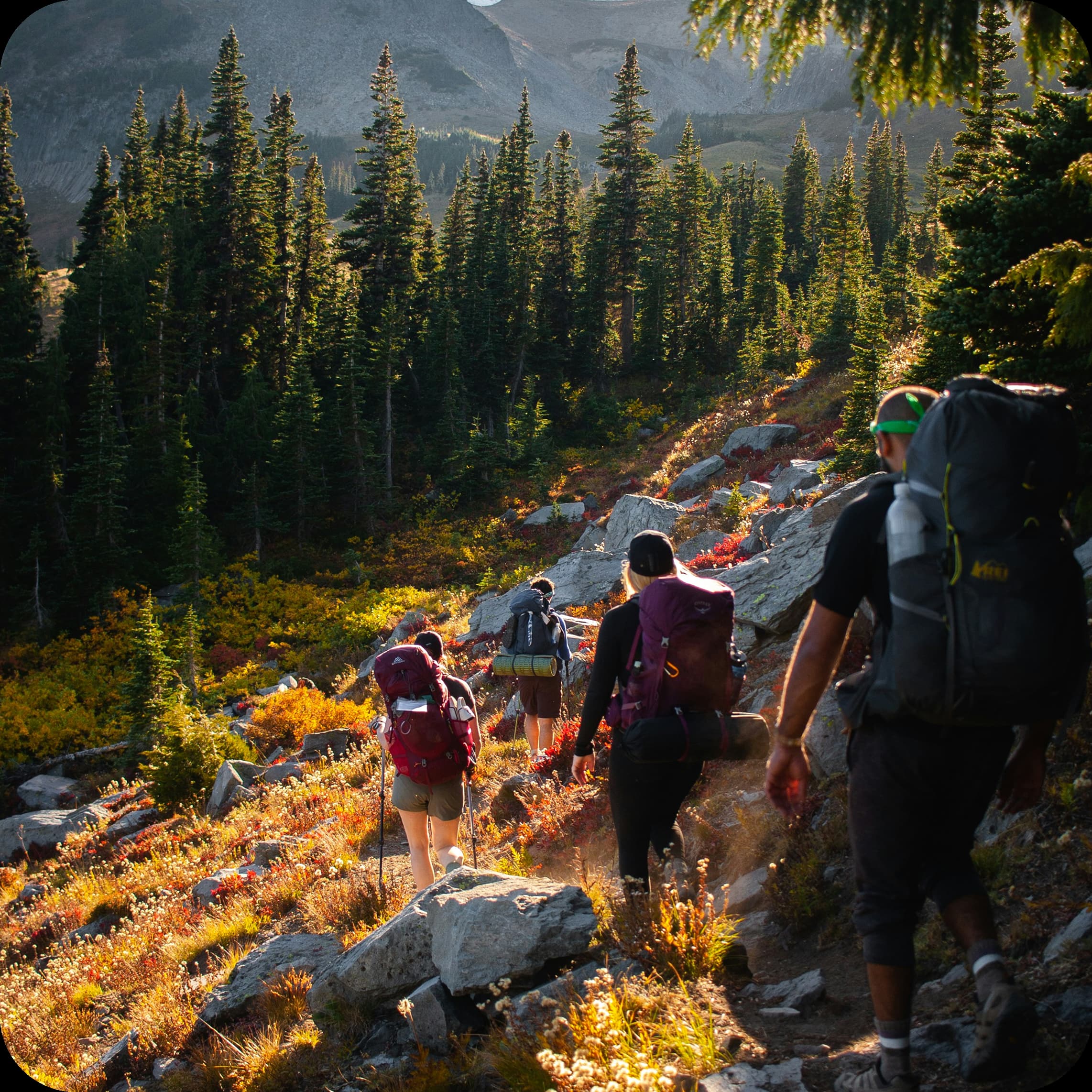 Hikers on a trail