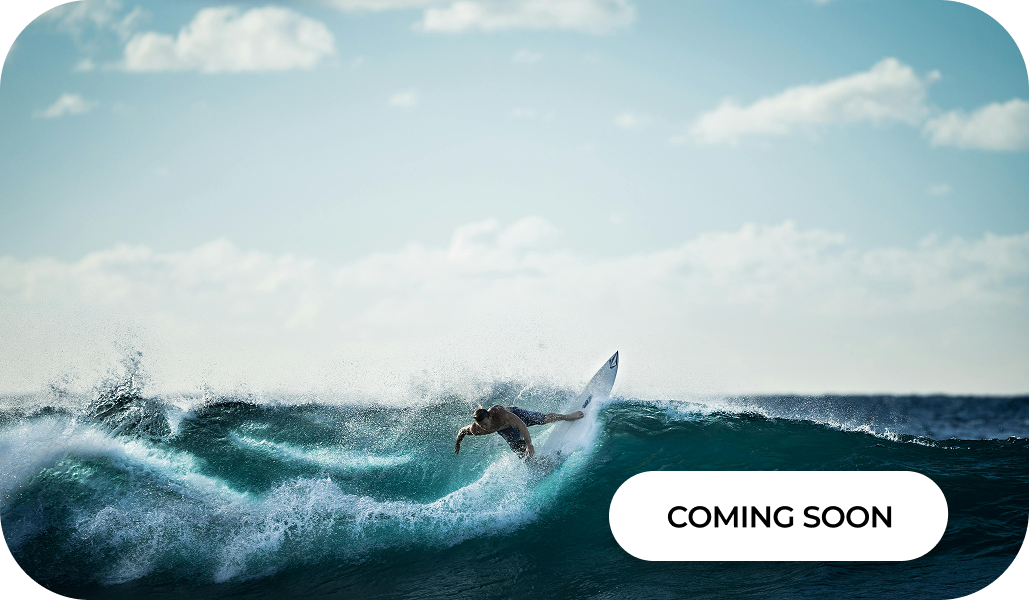 Surfing